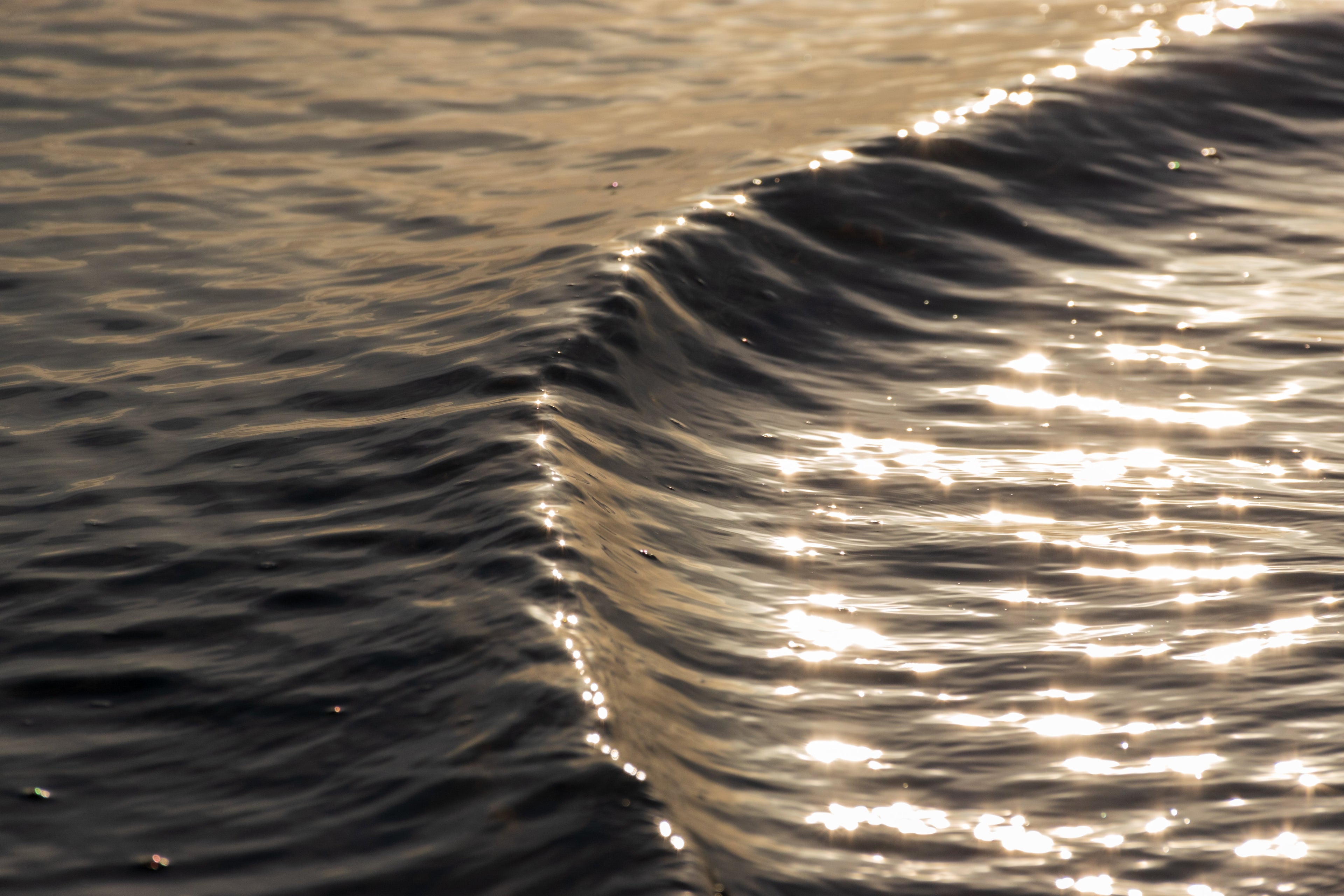 Elysian Waves
